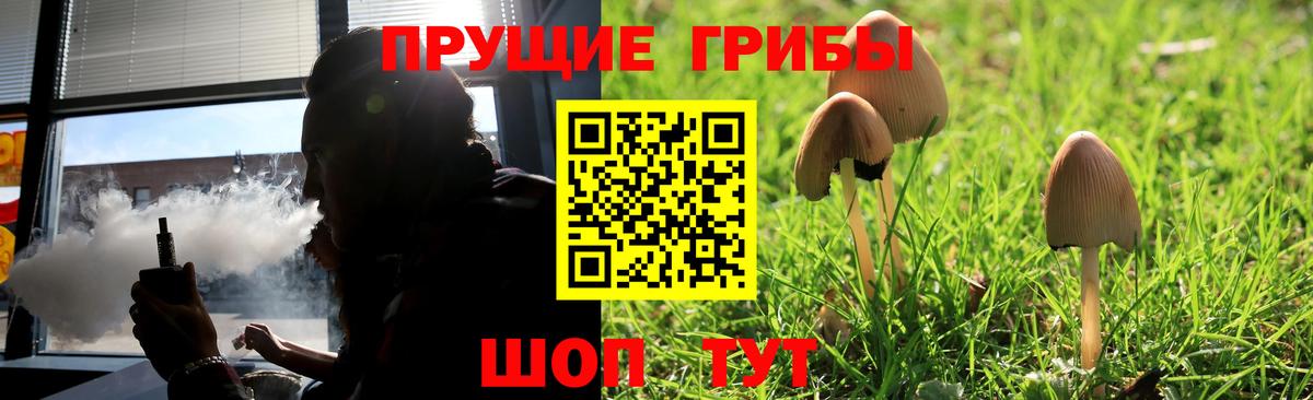 Галлюциногенные грибы ЛСД Мыски