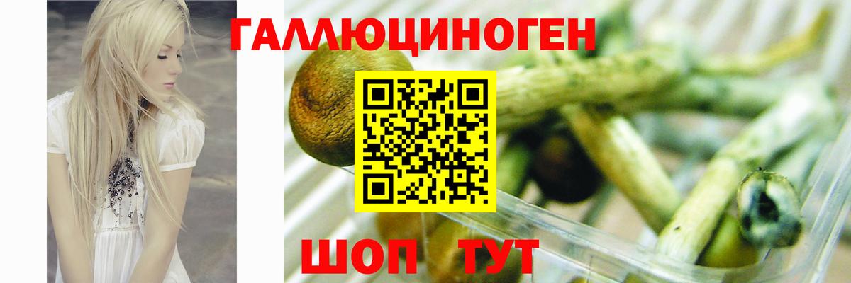 Экстази Мыски